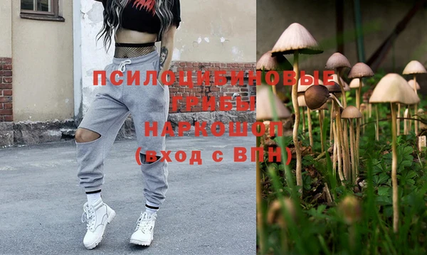 спайс Лабытнанги