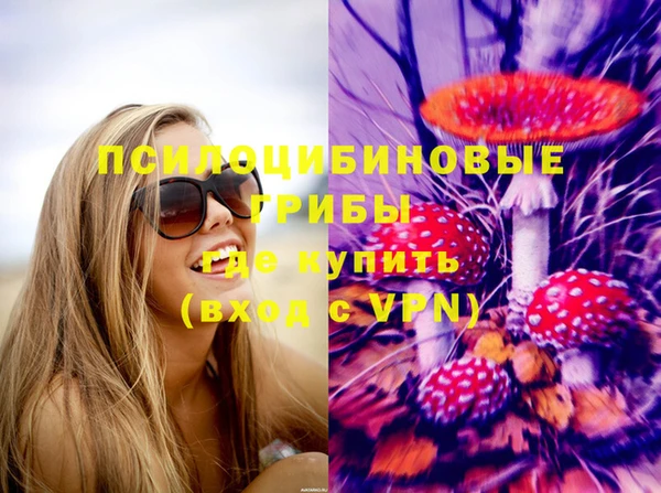 хмурый Липки